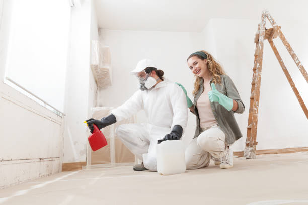 Asbestos and Lead Testing During Mold Inspection