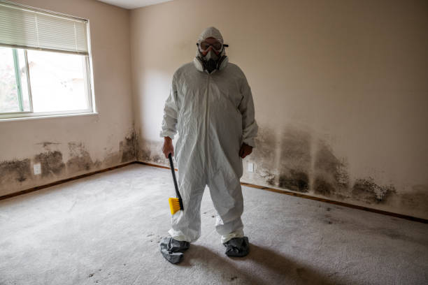 Best Mold Damage Restoration  in Pascagoula, MS